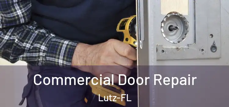 Commercial Door Repair Lutz-FL