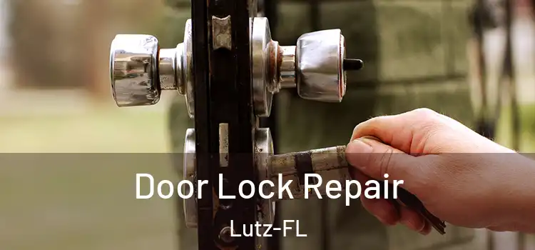 Door Lock Repair Lutz-FL