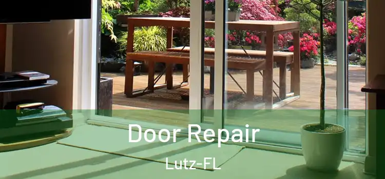  Door Repair Lutz-FL