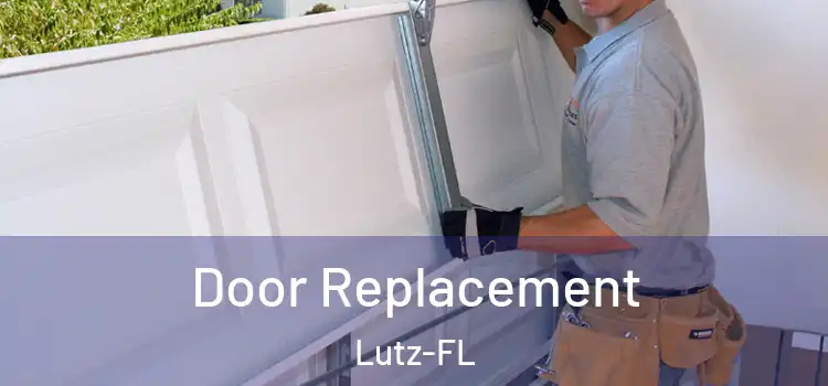 Door Replacement Lutz-FL