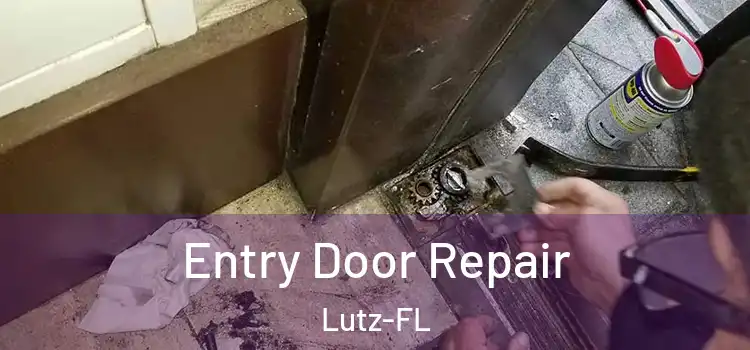 Entry Door Repair Lutz-FL
