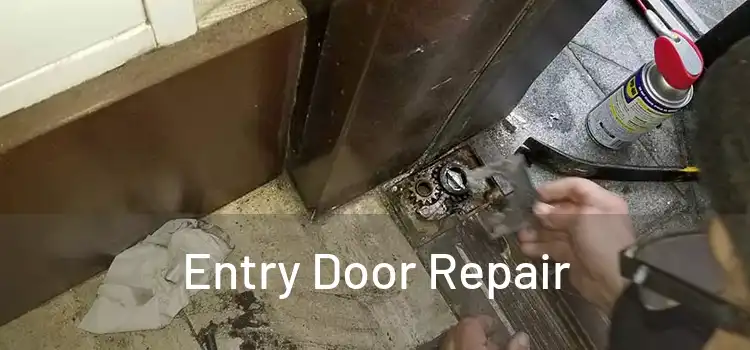Entry Door Repair