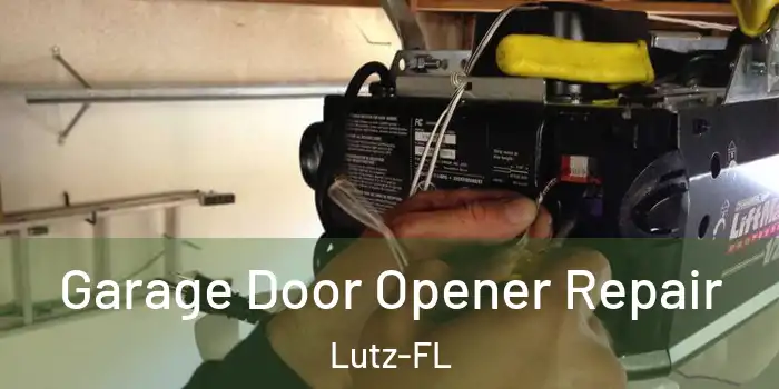  Garage Door Opener Repair Lutz-FL
