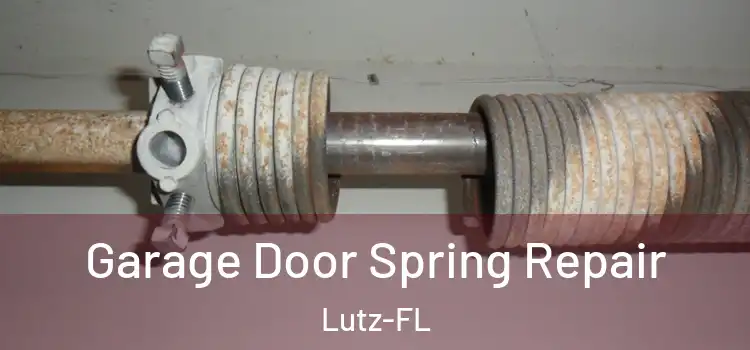 Garage Door Spring Repair Lutz-FL