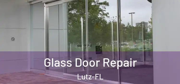 Glass Door Repair Lutz-FL