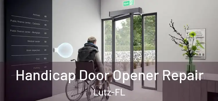 Handicap Door Opener Repair Lutz-FL