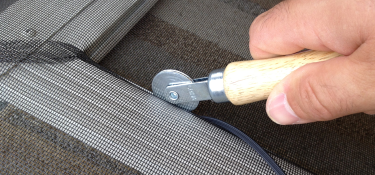 metal screen door repair in Lutz