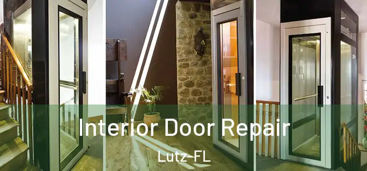 Interior Door Repair Lutz-FL