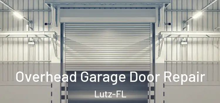 Overhead Garage Door Repair Lutz-FL