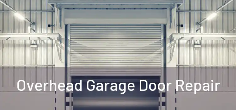  Overhead Garage Door Repair 