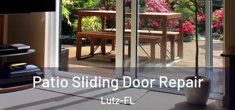  Patio Sliding Door Repair Lutz-FL