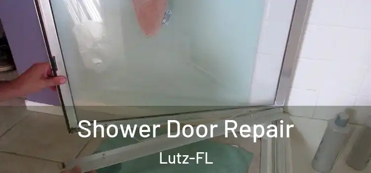 Shower Door Repair Lutz-FL