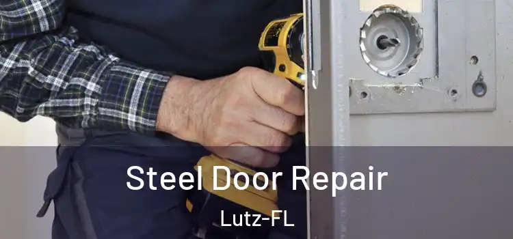 Steel Door Repair Lutz-FL