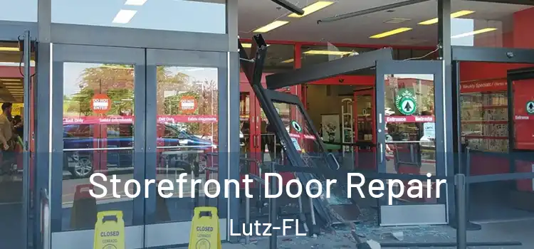 Storefront Door Repair Lutz-FL